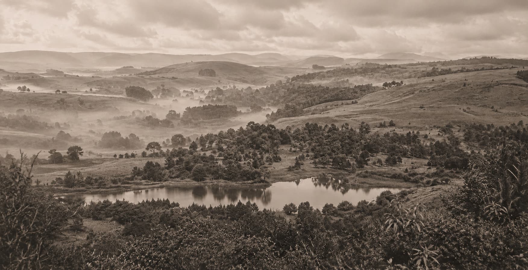 A Changing Midlands Landscape